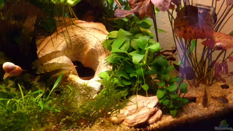 Regenbogenstein von tanja4 (11)