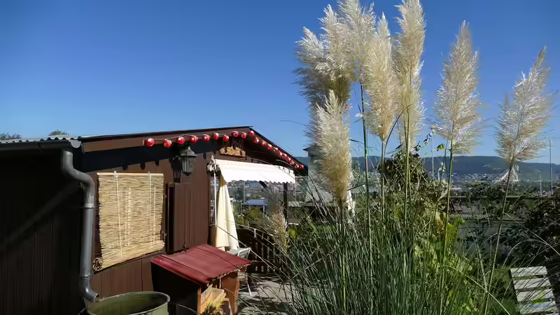 Regentonnen: Platzsparende Lösung für kleine Gärten?