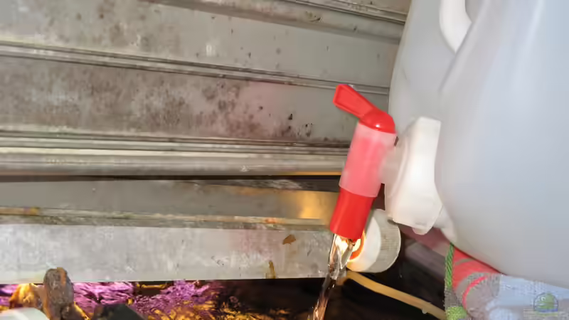 Regenwasser aus dem Kanister während gleichzeitiger Absaugung aus dem Becken von der Theoretiker (62)