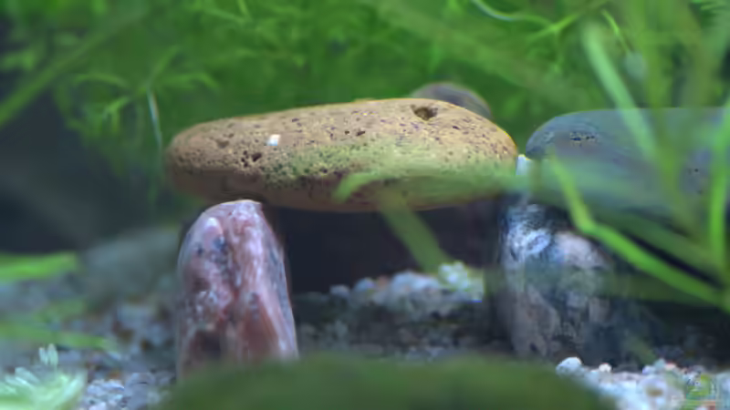 ´Reihenhöhle´ im Detail von SteB-Studio (3)