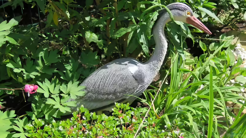 Reiherschutz von Thomas Limberg (27)