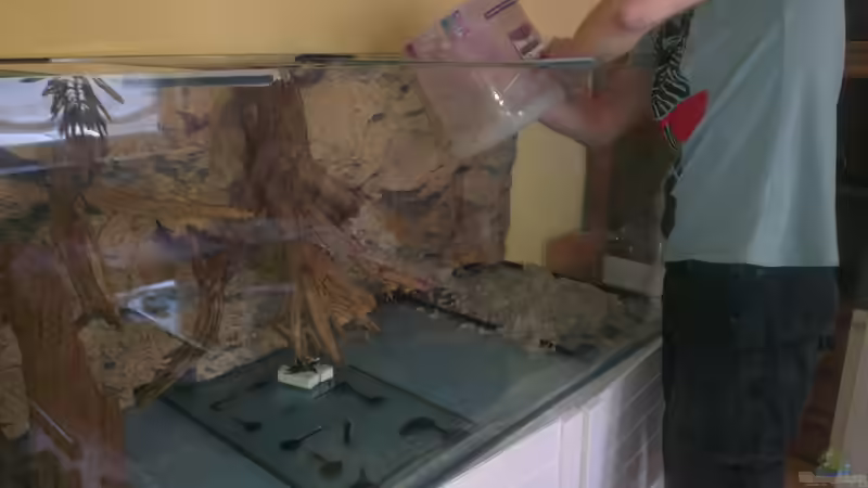 rein schütten macht mehr Spaß wie waschen ;-) von Biffty (38)