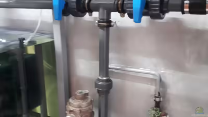 Reinigungsablauf und Quarantänebecken von 8 CBM (59)