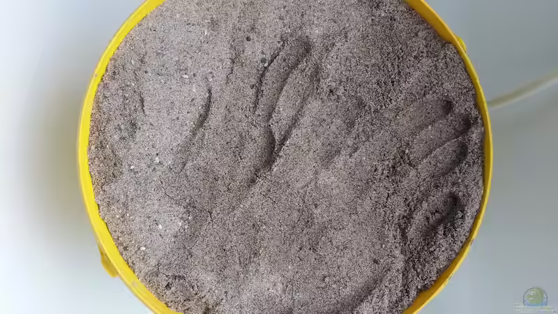 Reinsand von Bitman (12)