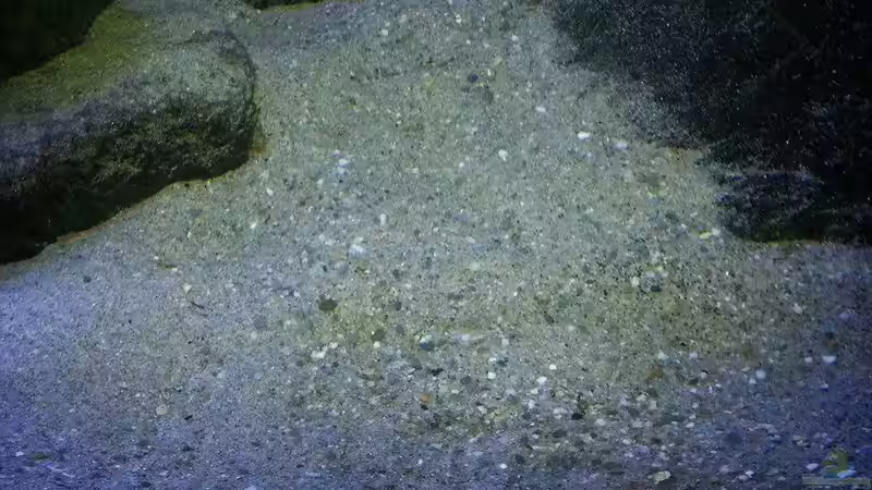 Reinsand von Bitman (13)