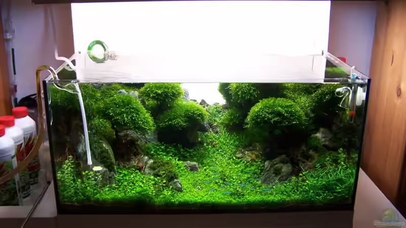 Rel. aktuelles Bild 1 von Fredo Fuss (5)