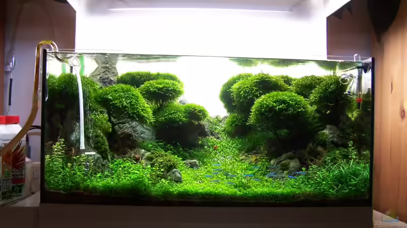 Rel. aktuelles Bild 2 von Fredo Fuss (6)