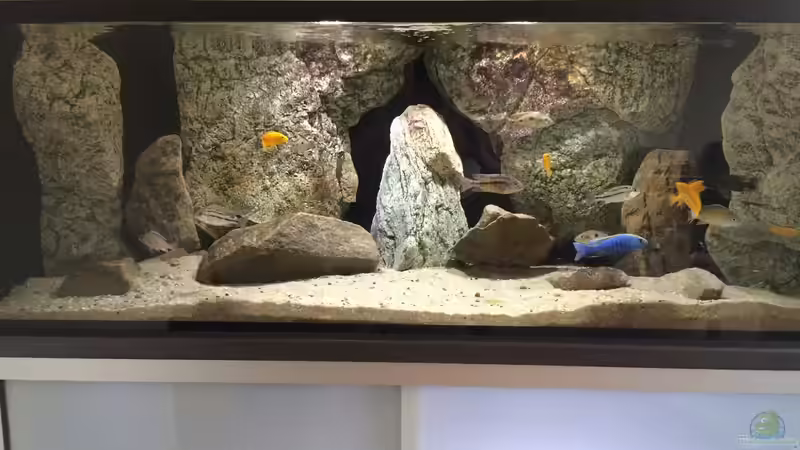 Relaunch bevor das Grünzeug drin war ;) von Branjo (5)