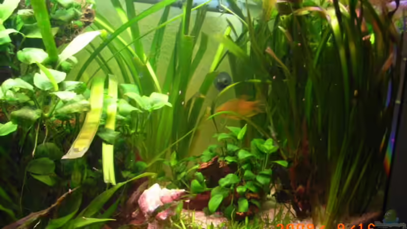 reschte Seite von Susann Czaika (5)