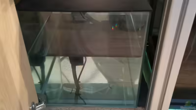 Reserve für die Niveauregulierung von Der Küstenjunge (30)