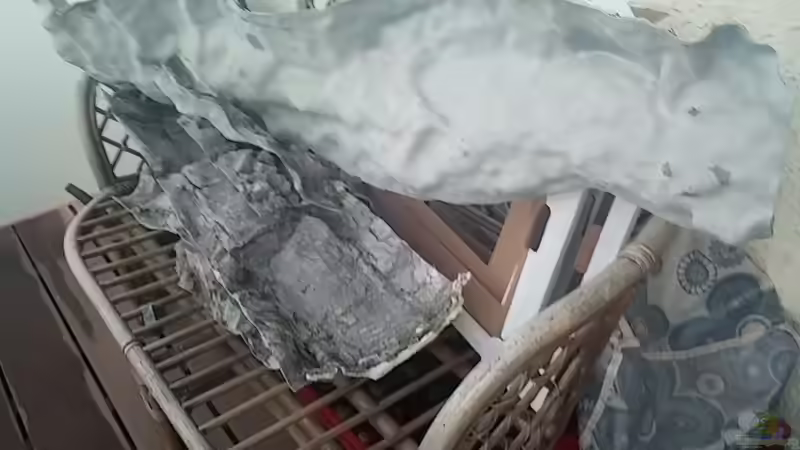 Reste der RW...(schluchz ) von Frank Hopp (37)