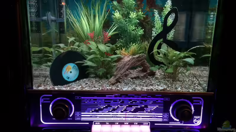 Resultat 02 von Hanse-Hannes (22)