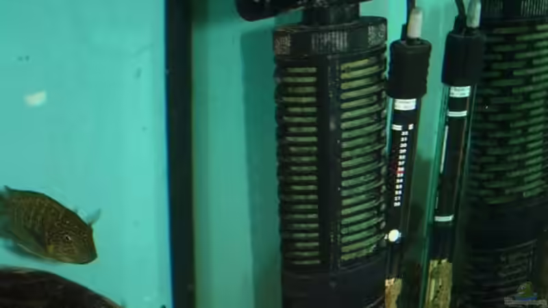 Resun, Schnellfilter von Marius L. (14)