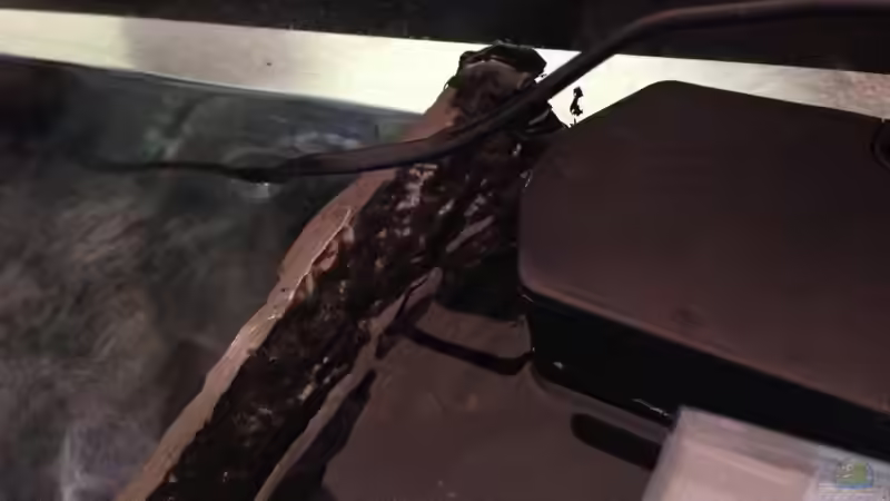 Resun Power Head 3800 von Chimme (30)