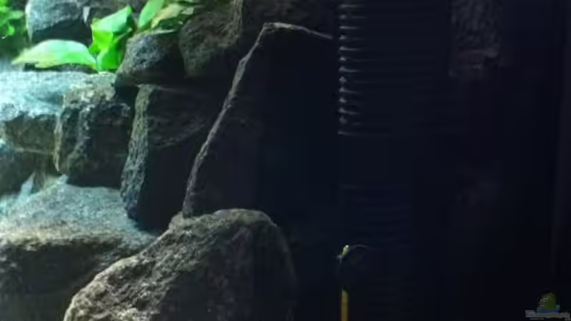 Resun SP 2500 + 2 Filterpatronen von Meckel (21)