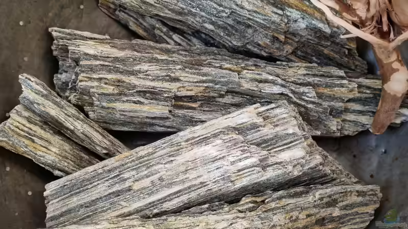 RETNE Woodstone Holzstein von Peter Peter (74)