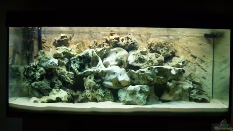 ´Retrodesign´ mit Lochgestein: Die Steine verdrängen nicht mehr Wasser als die kleinen Aufbauten mit normalen Steinen! von Tom (2)