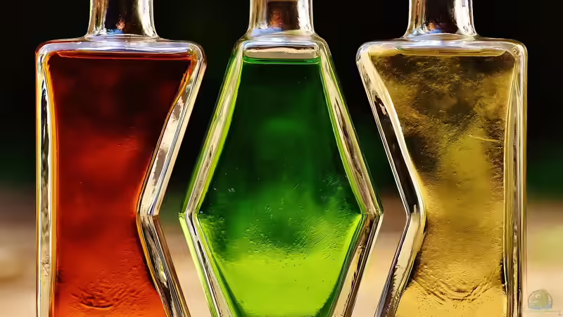 Rezepte für leckere Liköre mit Zutaten aus dem eigenen Garten - Schritt für Schritt zum selbstgemachten Genuss