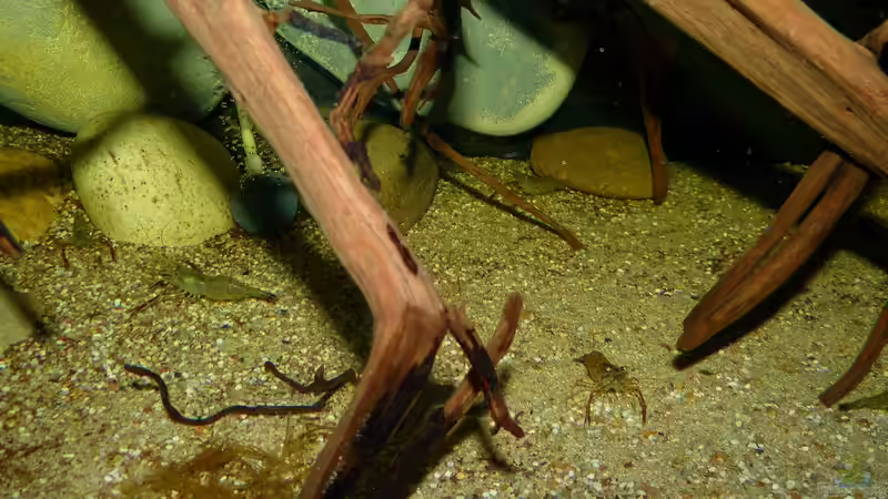 RHG 22.11.15 von ~Marco~ (57)