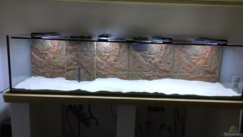 Richtfest von Fallendum (8)