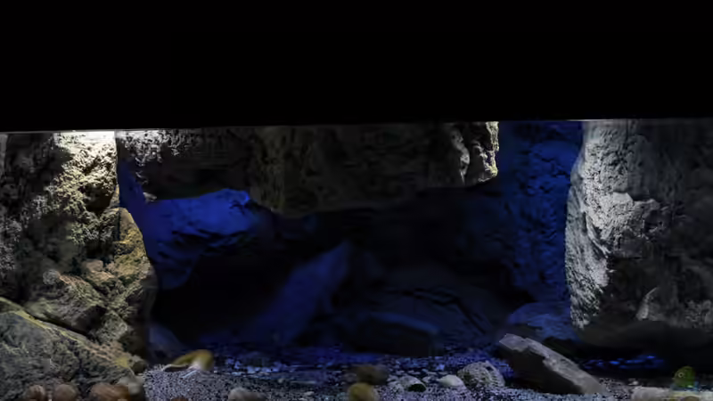 richtig positioniert bleibt das Becken gut zugänglich bei Modulen von oben von The Pictus catfish (14)