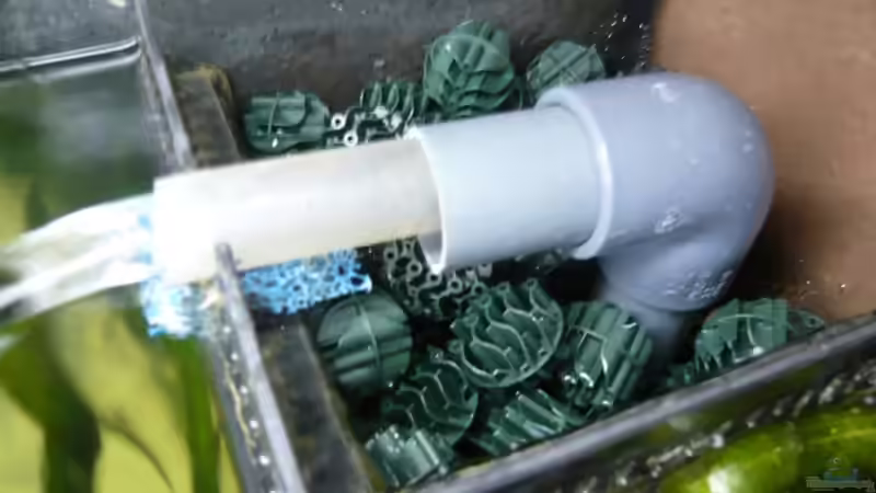 Rieselschacht + Zulauf von lumpi (30)