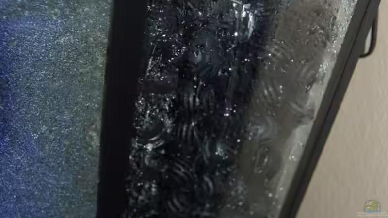 Rieselschacht mit Bio-Bällen von Claus Becker (13)