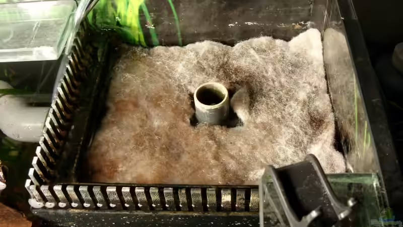 Rieselschacht mit Vorfilterflies (frisch gereinigt) von Oliver Boden (25)