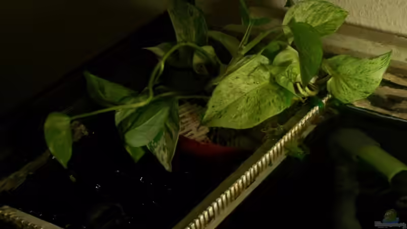 Rieselschacht von Klabuster (19)