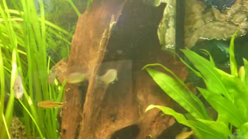 Rieselschacht von Oliver Boden (26)