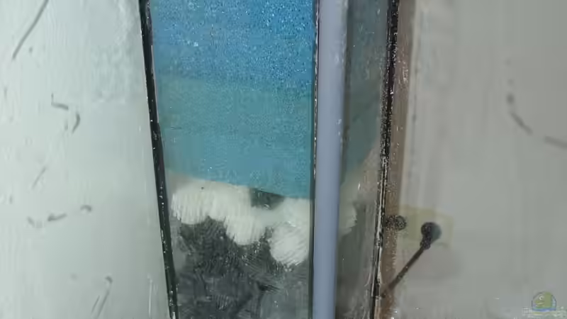 Rieselturm (norm. hinter Rückwand) von photizo (14)