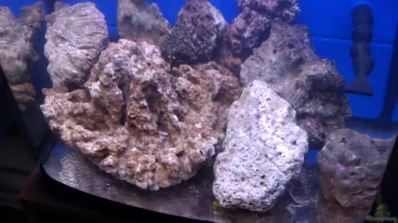 Riff noch nicht aufgebaut von Rene Rohrer (2)