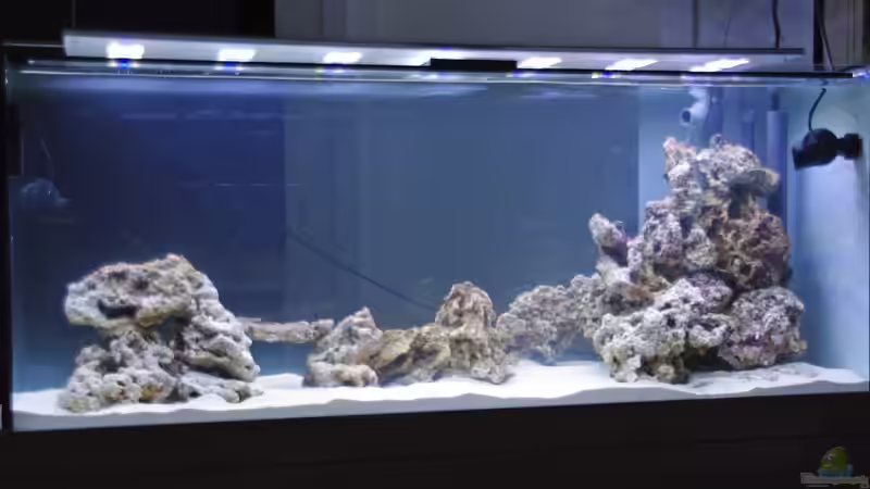 Riffaufbau abgeschlossen von Dominik N. (3)