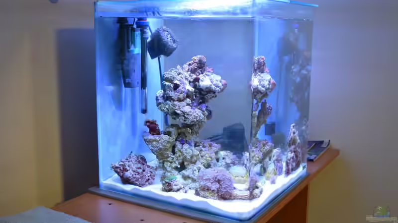 Riffaufbau von der Seite von Junglist (6)