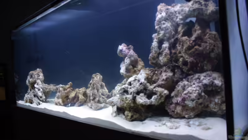 Riffaufbau von Dominik N. (4)