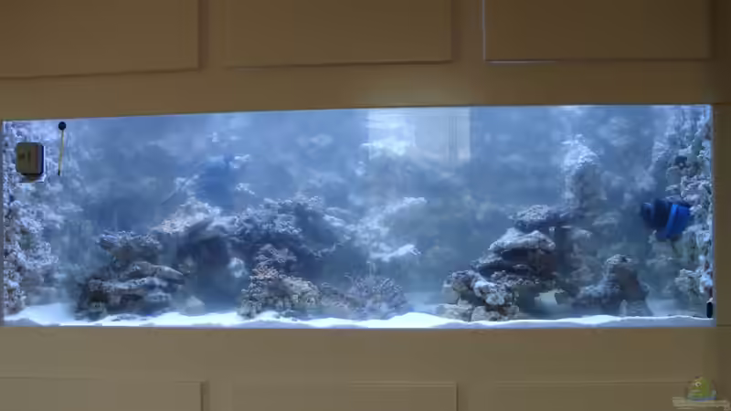 Riffaufbau von ENM (2)