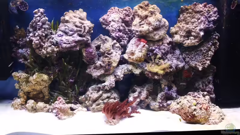 Riffaufbau von vorn von Thorsten John (16)