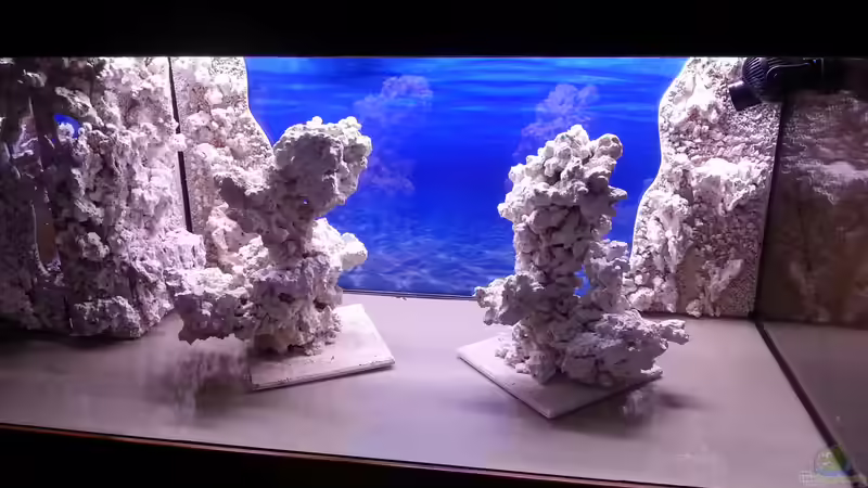 Riffdeko von Atoll von Bernd Pinkert (12)