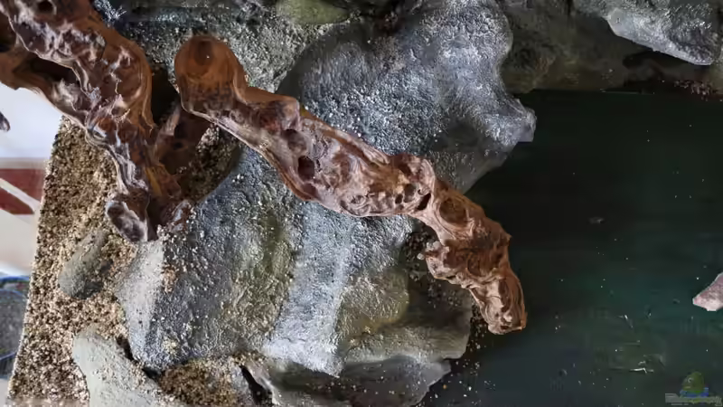 Riffplatte von oben von Cruiser Bruno (48)