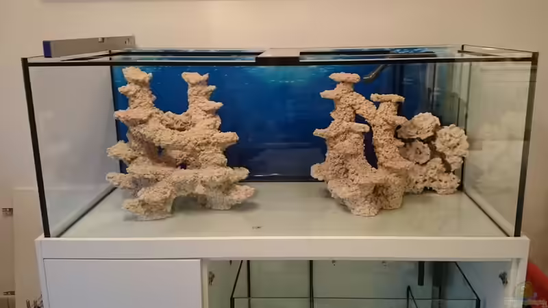 Riffsäulen von ~Elena~ (8)