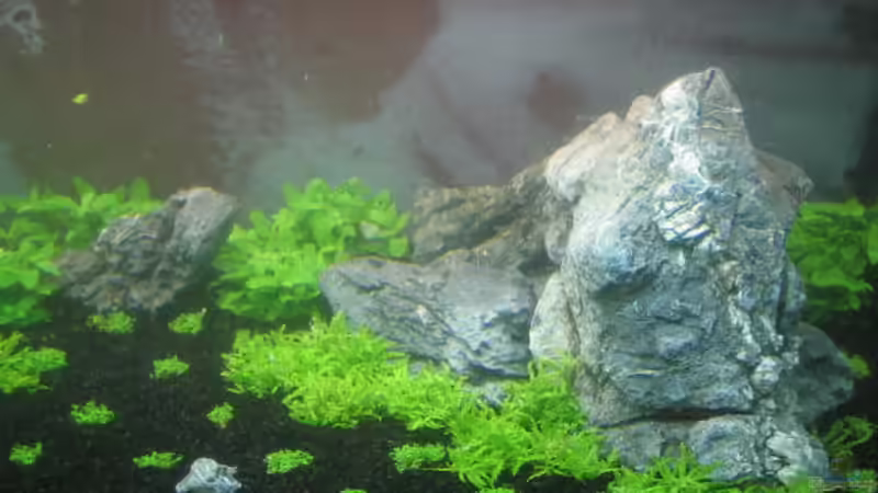 right side 26.07.11 von Namor Rellek (8)