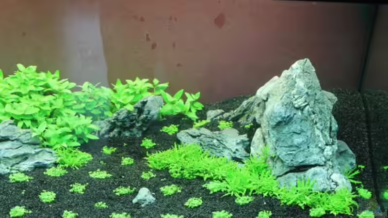 right side 30.07.11 von Namor Rellek (4)