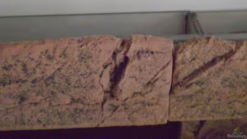 Rinnenverkleidung von Kulleraugen-Fan (13)