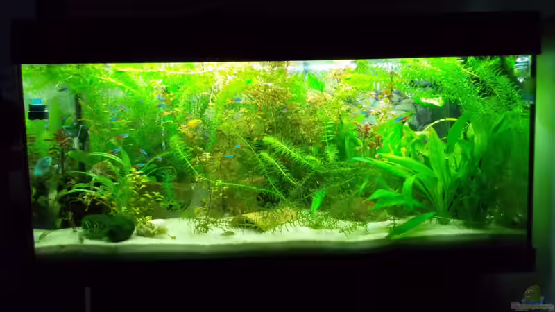 Rio  von Thomas Huber (2)