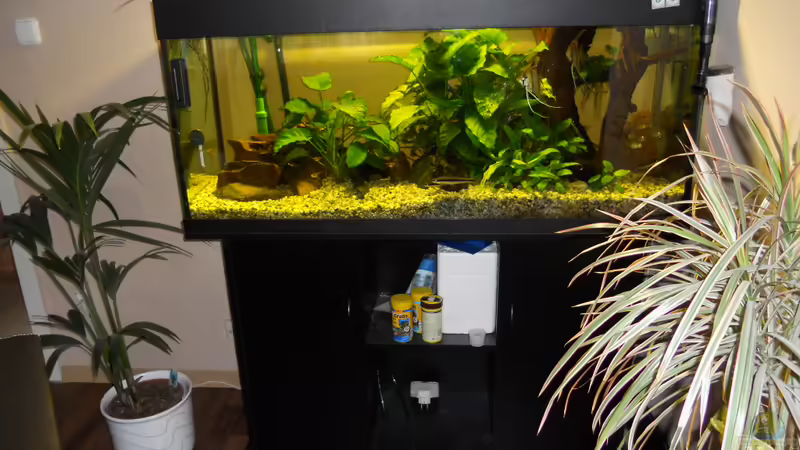 Rio 240 von Atzemio (2)