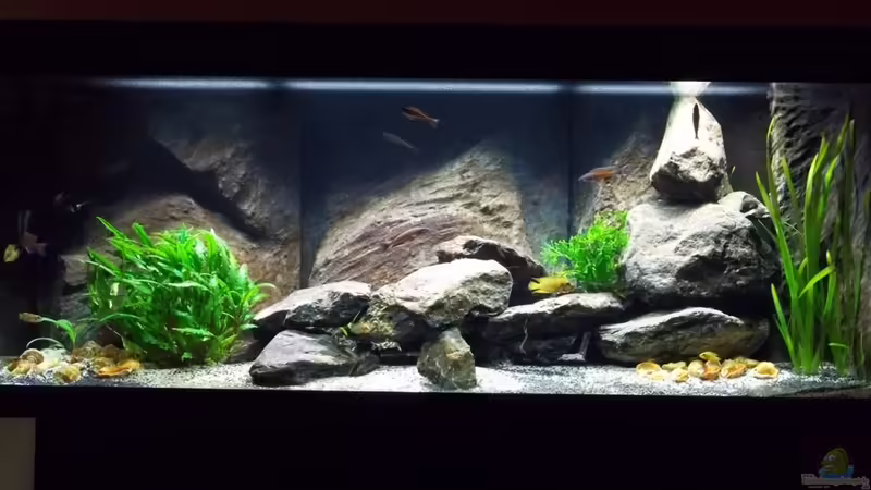 Rio 400 von Baeltes (2)