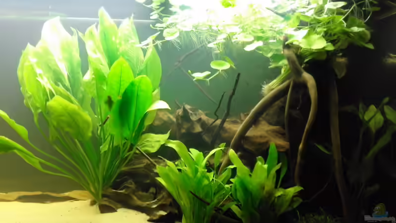 Rio de salão von Glückspirat82 (1)