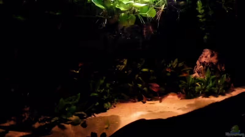 Rio Guaporé von Malawigo (4)