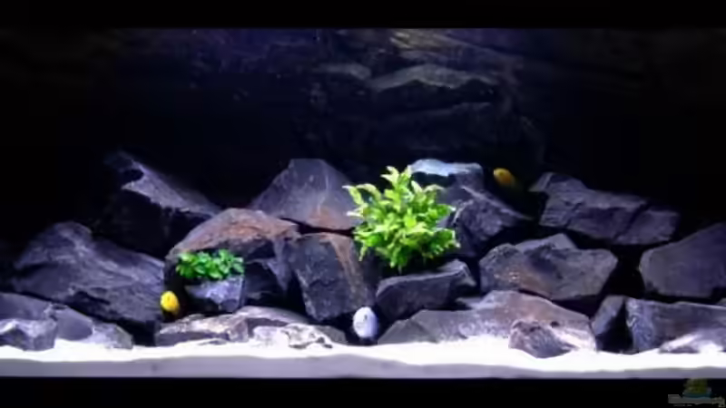 ´RIO´ Malawi (14.05.2011) von -Markus- (1)