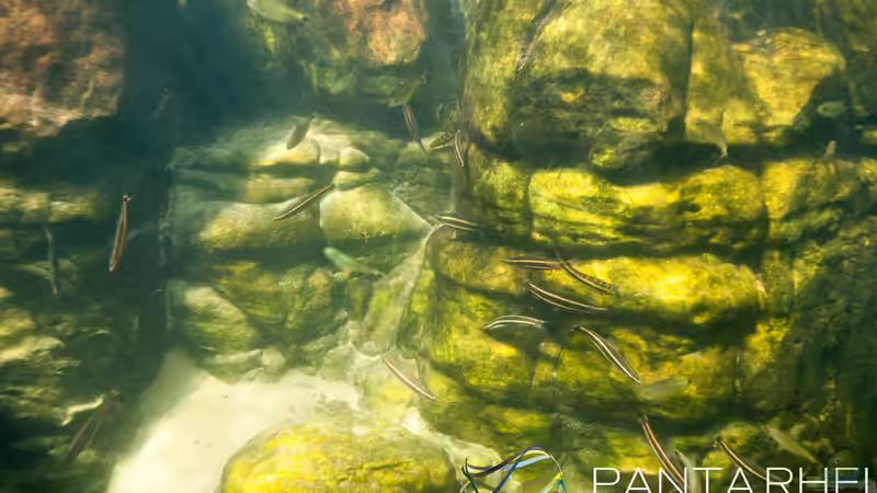 Rio Tapajos Referenz von maxheadroom (38)